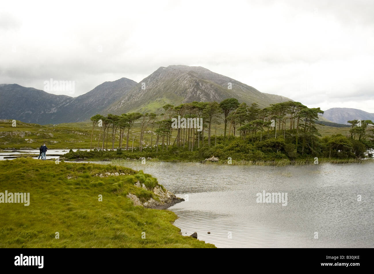 Derryclare Lough, Connemara, County Galway, Irland Stockfoto