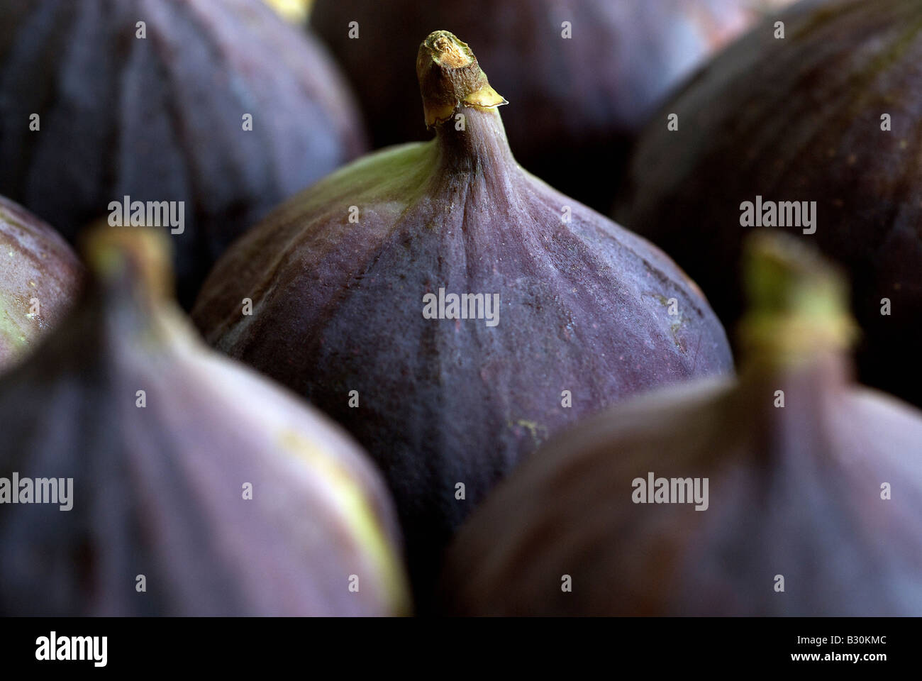 Frische Feigen Stockfoto