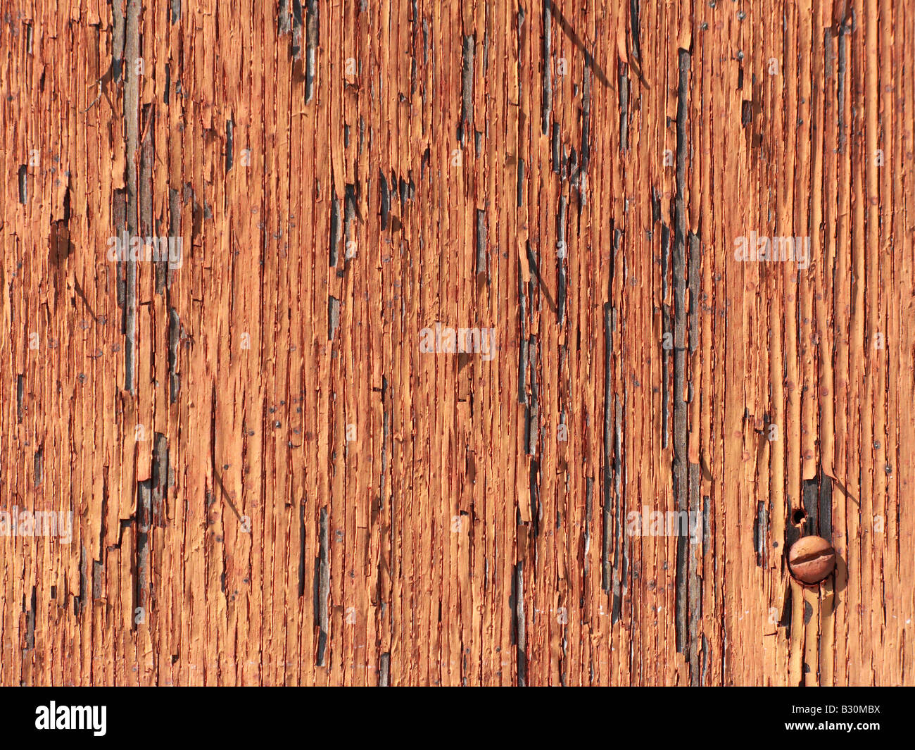 Zusammenfassung Hintergrund Nahaufnahme Oberflächenstruktur Stockfoto