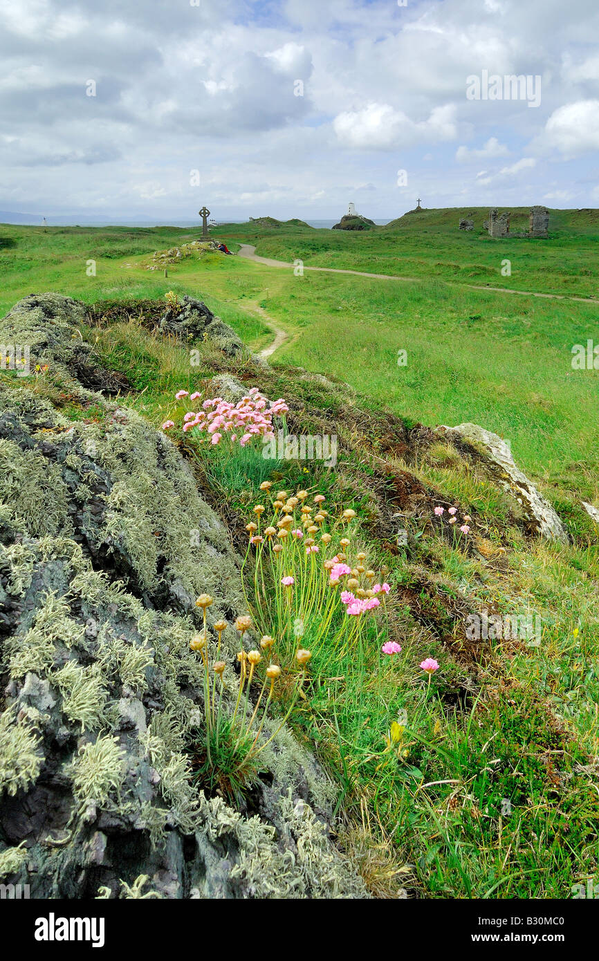 Landschaft von Llanddwyn Island vor der Küste von Anglesey in Newborough Warren Stockfoto