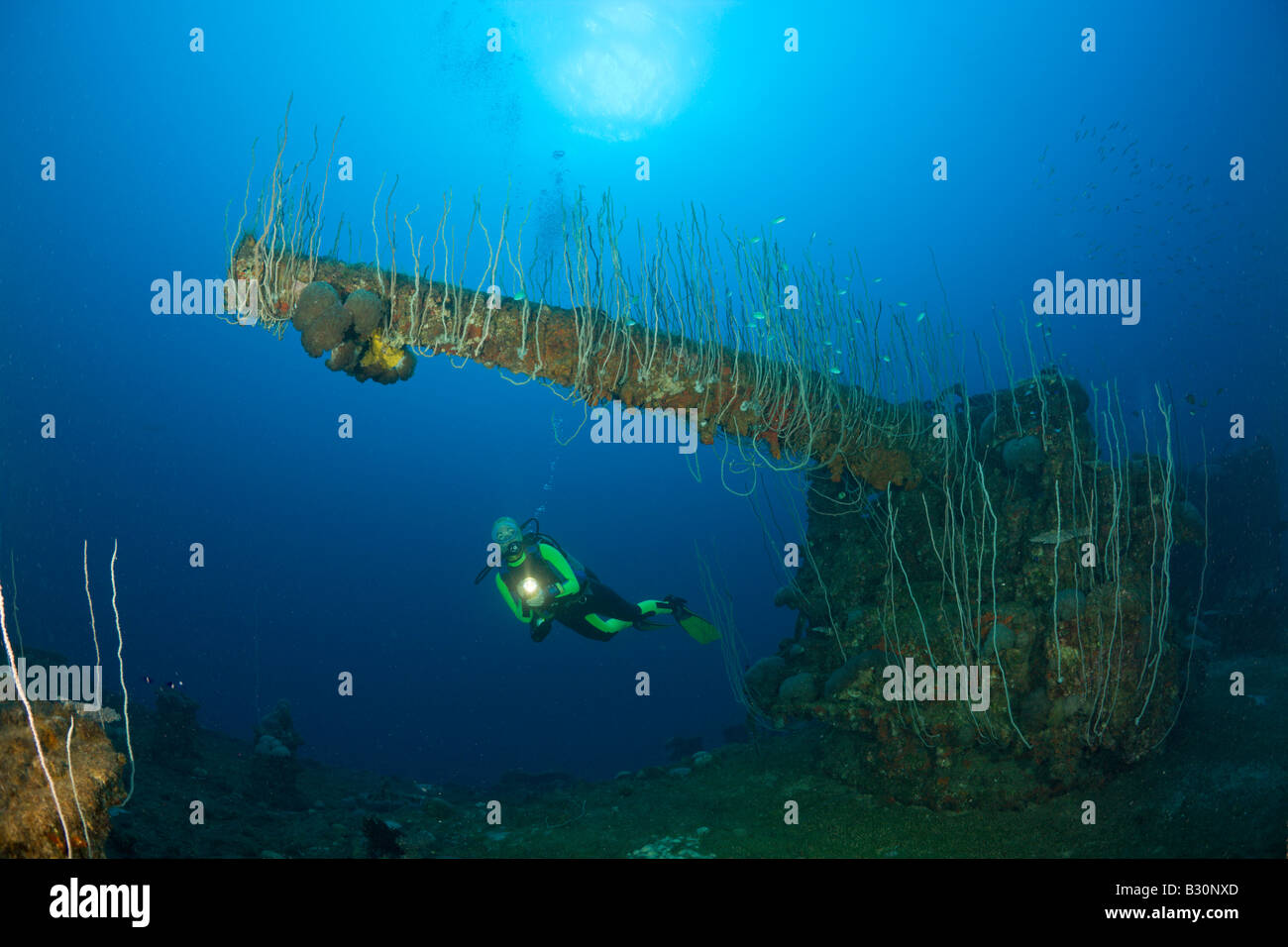Taucher und 5-Zoll-Geschütz der USS Carlisle Angriff Transporter Marshallinseln Bikini Atoll Mikronesien Pazifik Stockfoto