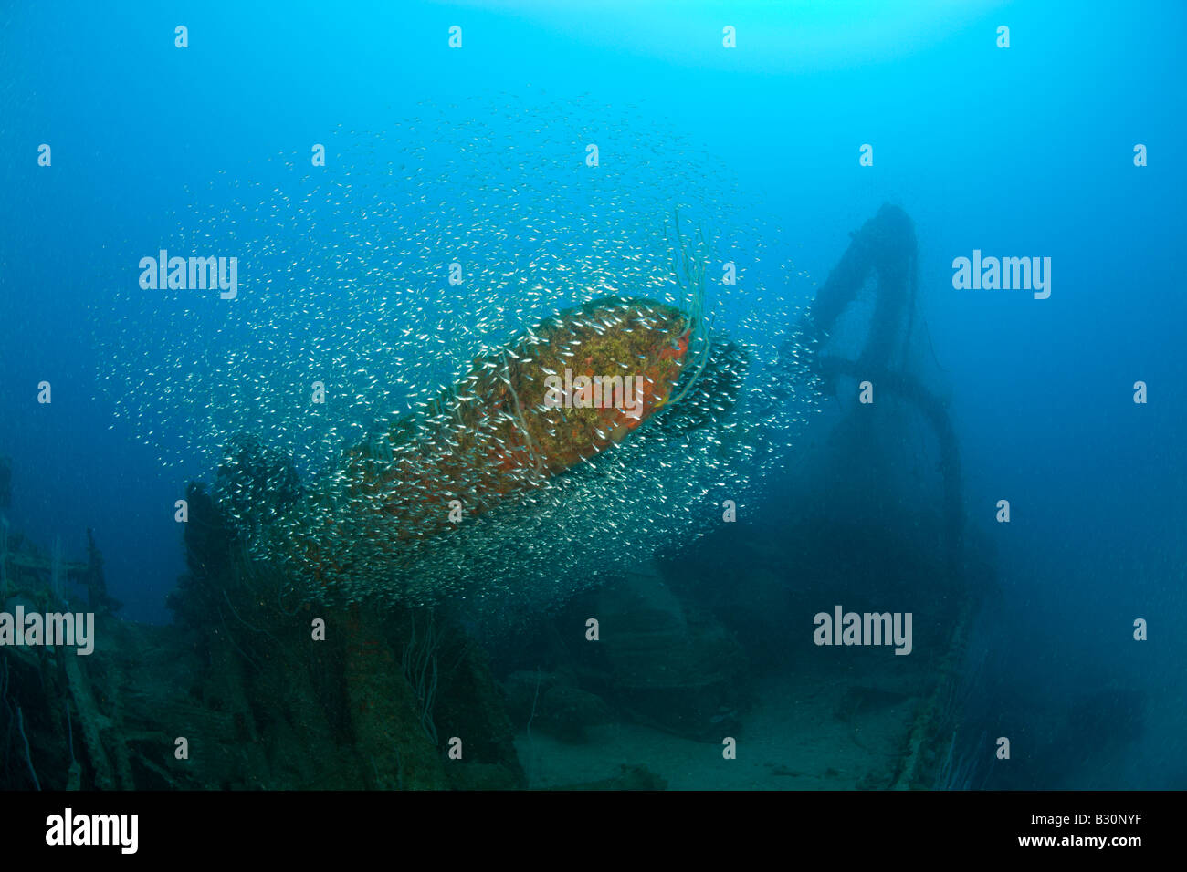 Torpedos der Zerstörer USS Lamson Marshallinseln Bikini Atoll Mikronesien Pazifik Stockfoto