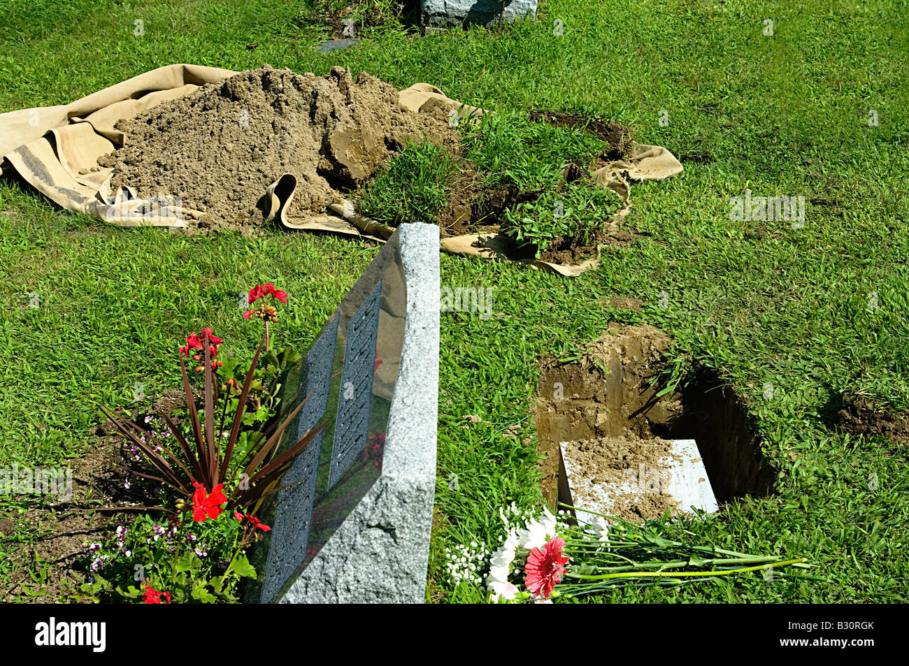 Beisetzung der Urne in Friedhof mit öffnen Grab Grabstein Blumen und Erde und Rasen auf einer Leinwand Tuch Stockfoto