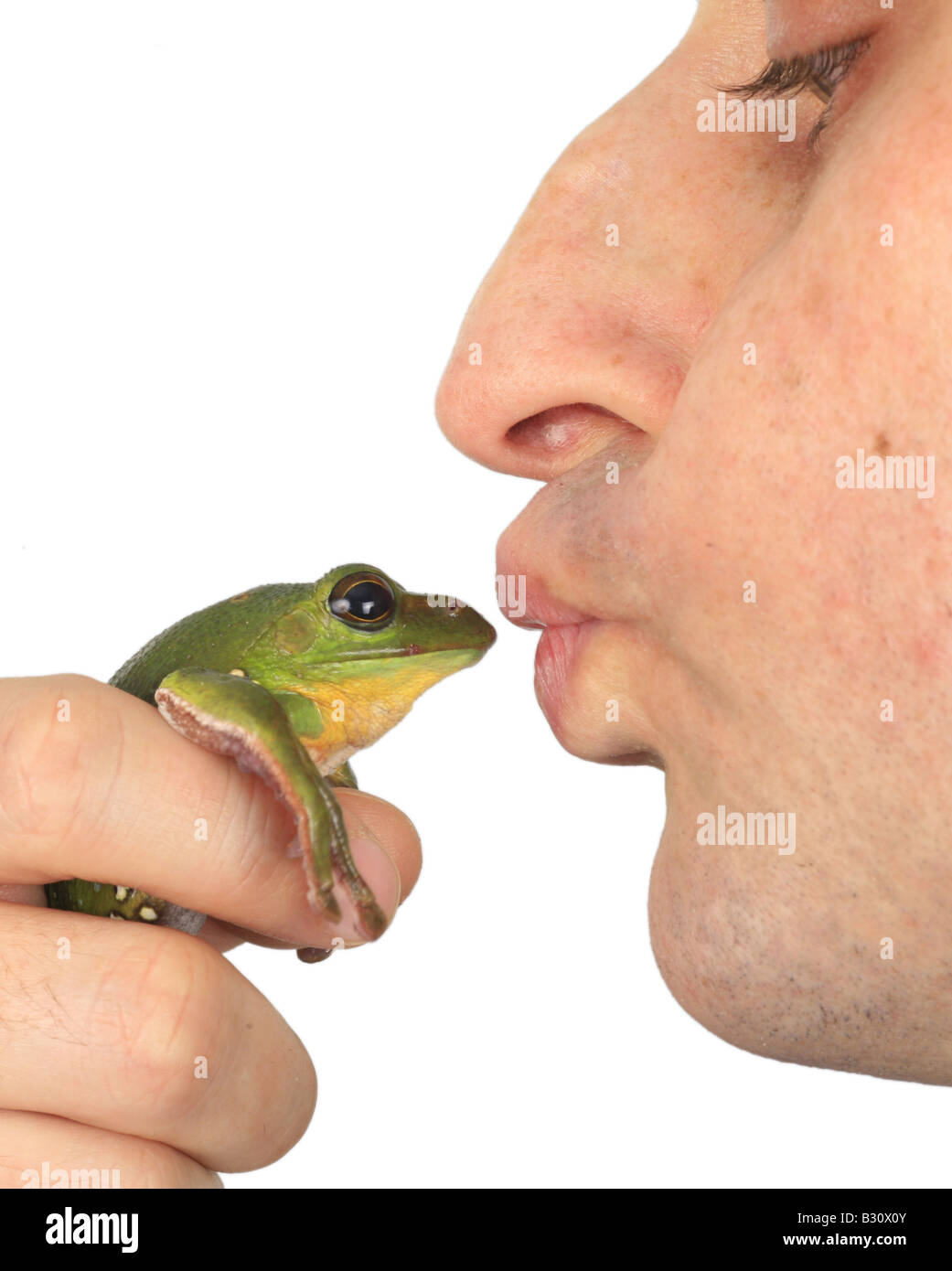 einen Frosch küssen Stockfoto