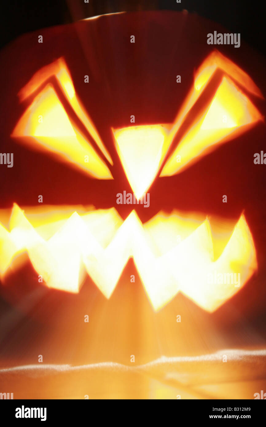 Cucurbita Pepo, Knochenmark, Feld-Kürbis Stockfoto