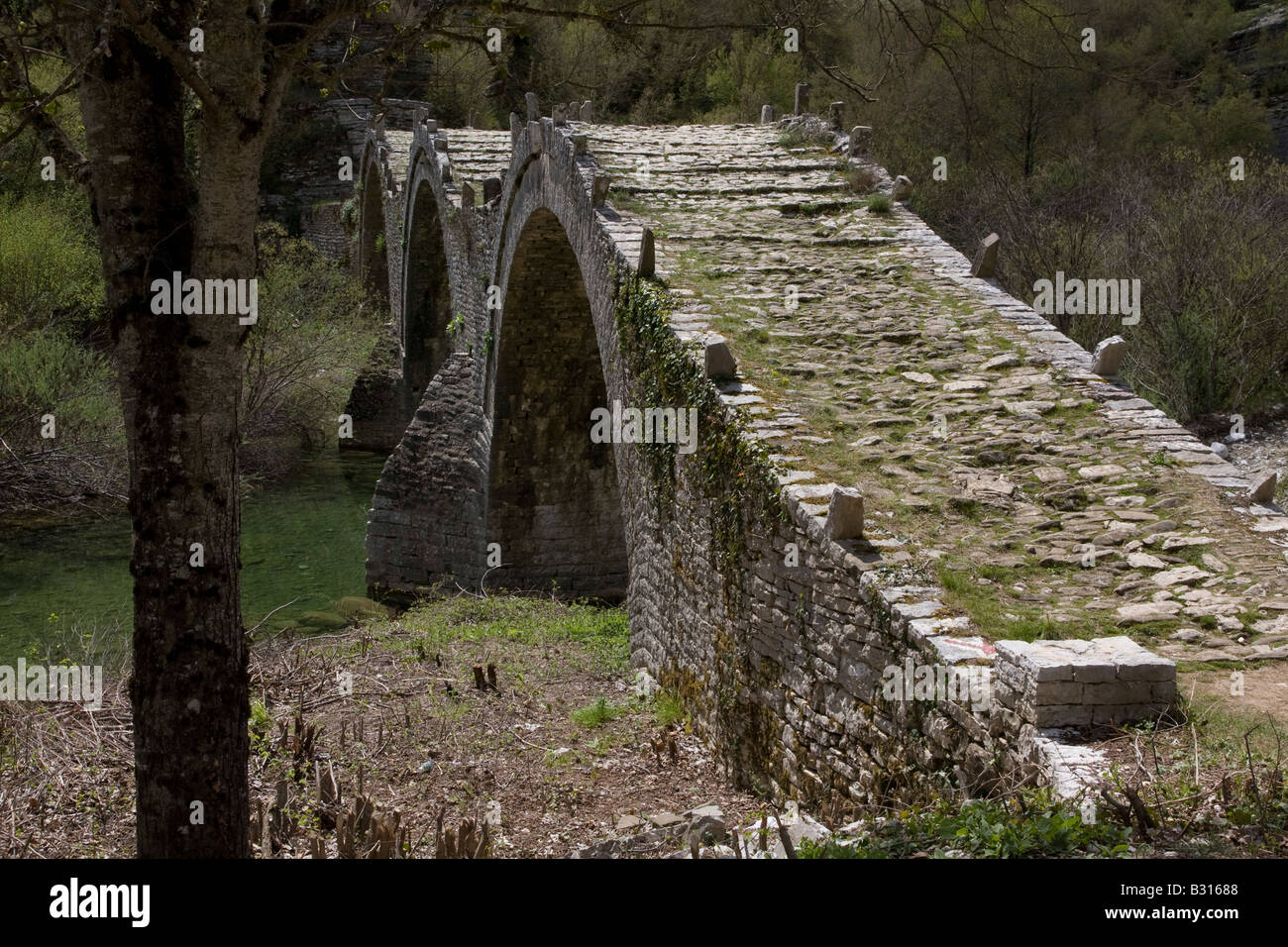 Griechenland-Epirus-Zagori-Pindos-Bergen der Plakidhas Steinbrücke Stockfoto