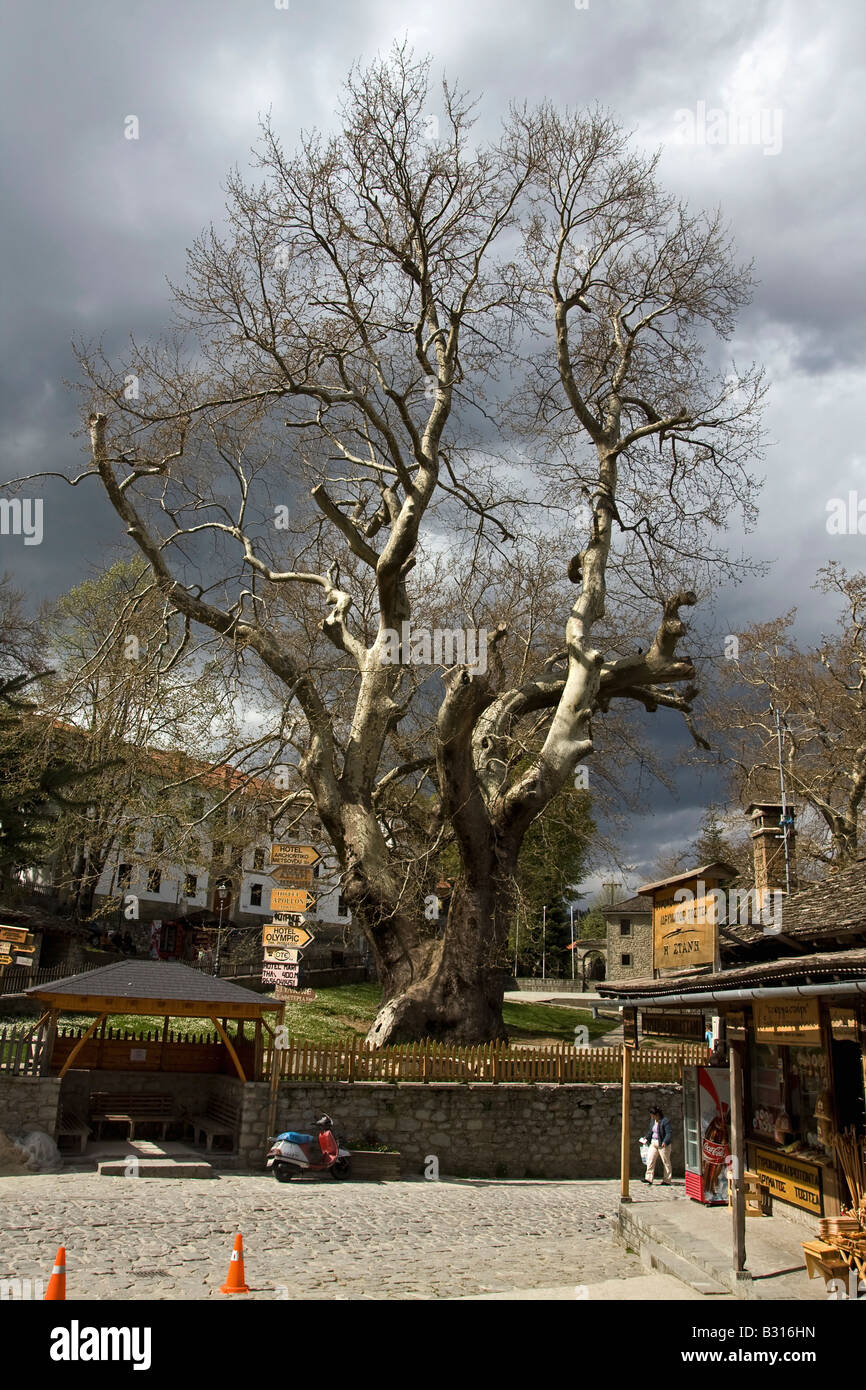 Griechenland-Epirus-Metsovo den Platz im Zentrum Stadt-s Stockfoto