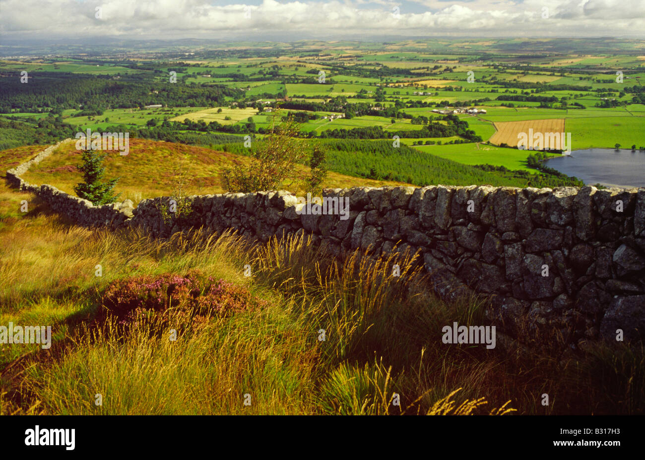 Trockener Stane Deich laufen herauf die Seite der Knockendock Hügel mit Blick nach unten über die landwirtschaftliche Landschaft von Dumfriesshire, Schottland Stockfoto