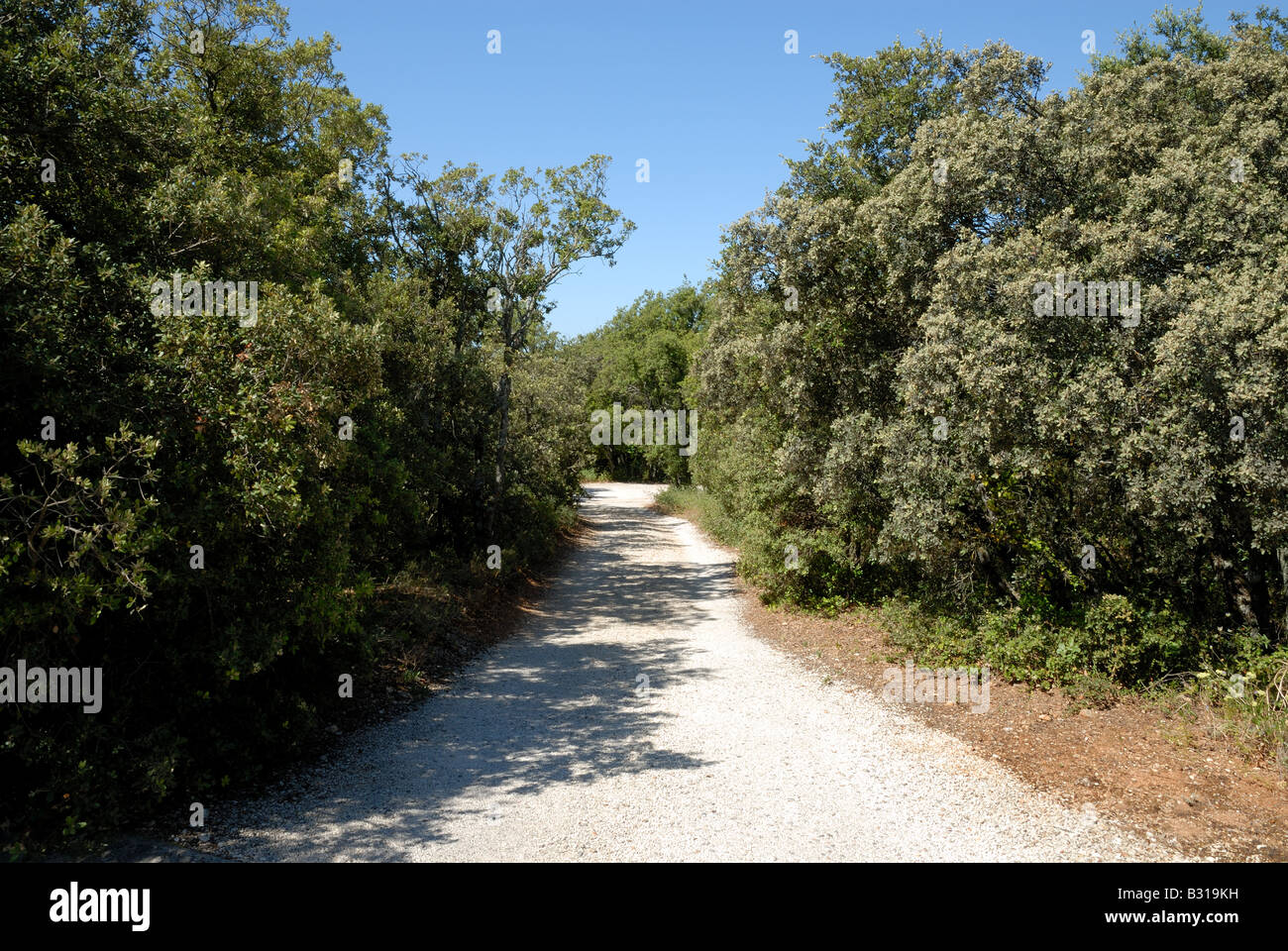 Landstraße in der Provence, Südfrankreich Stockfoto