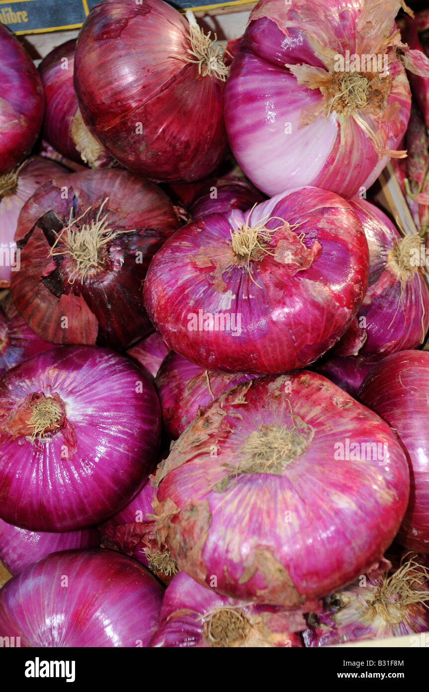 ROTE ZWIEBELN AM MARKTSTAND Stockfoto