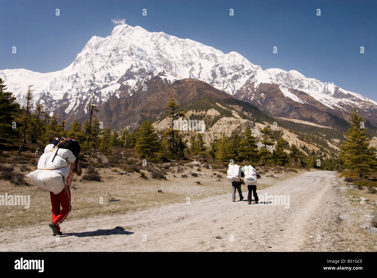 Porters Tragetaschen entlang der Annapurna Circuit in er Himalaya, Nepal Stockfoto