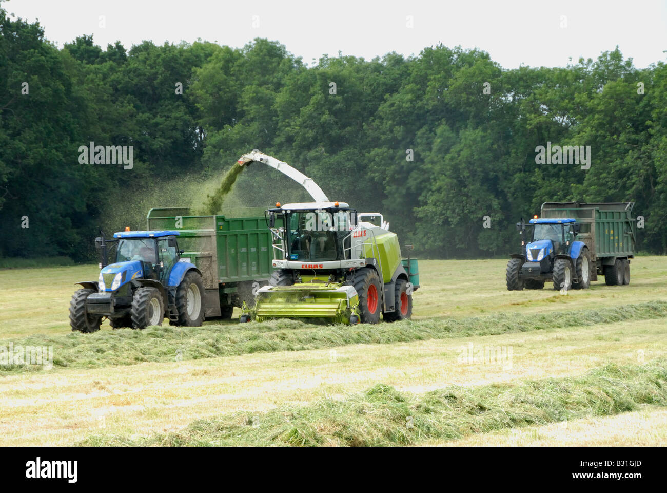 Silage schneiden und ernten Weideland für Rinder Winter Futter ernähren sich von Parkhurst Farm in West Sussex Stockfoto