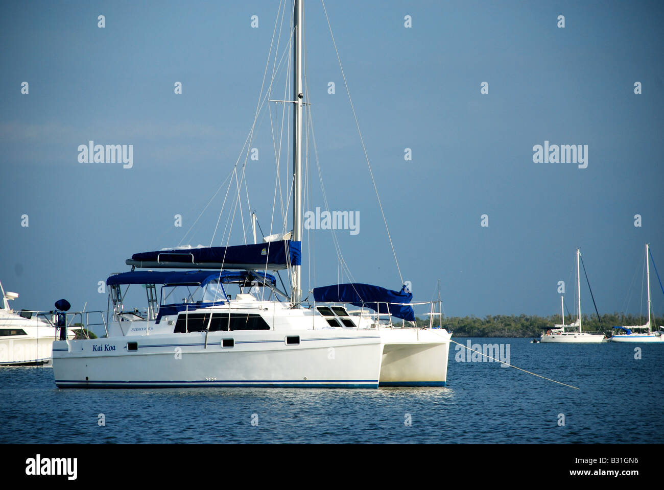 Ein Katamaran sitzt vor Anker im Pelican Bay Florida USA Stockfoto