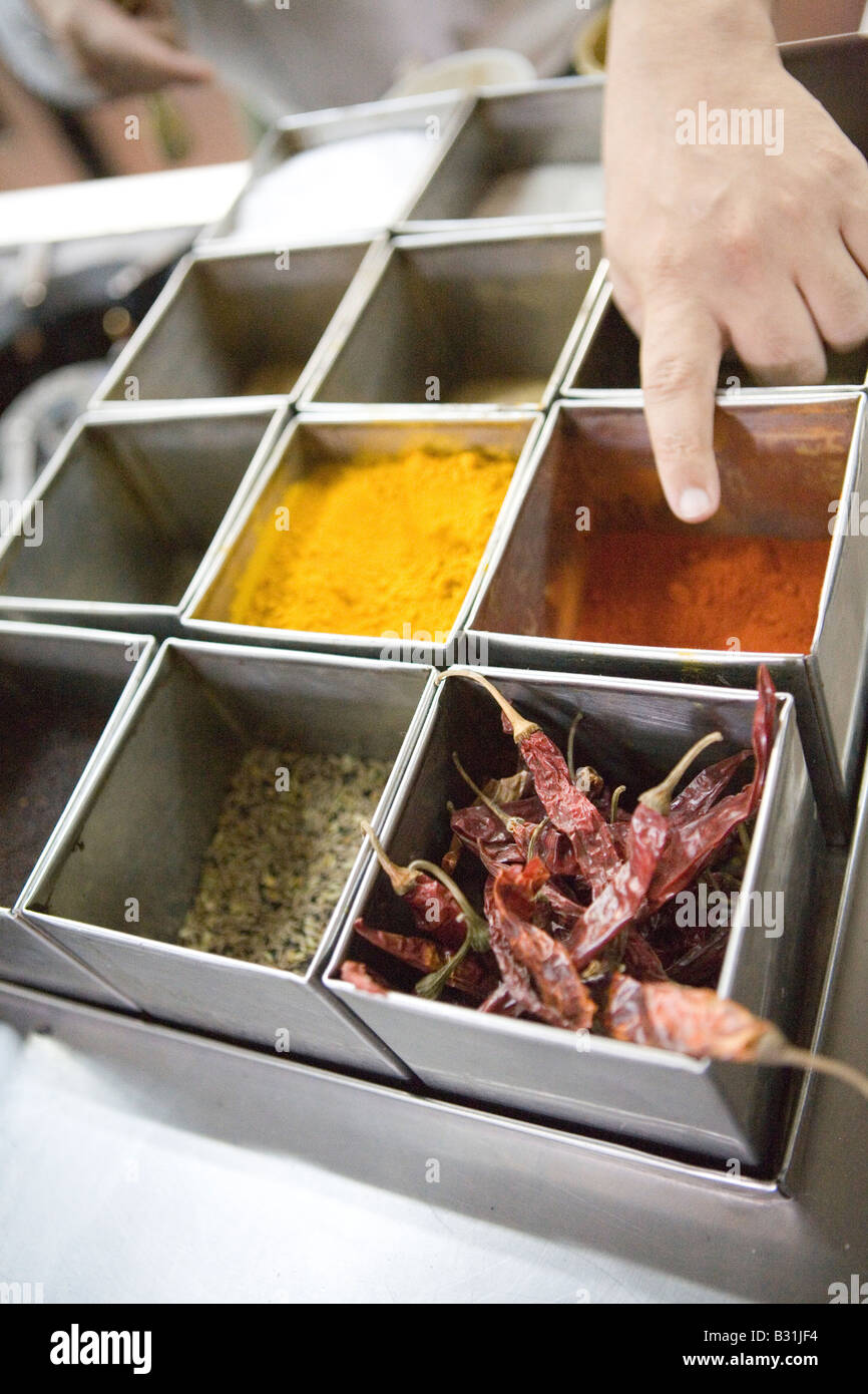 Aluminiumboxen Gewürze wie Chili, die in der indischen Küche verwendet. Stockfoto