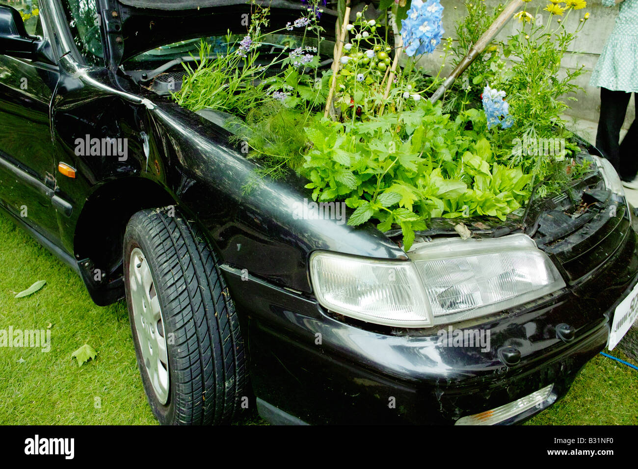 saubere grüne umweltfreundliche Auto Fahrzeugtransporte mit Pflanzen im Motorraum Stockfoto