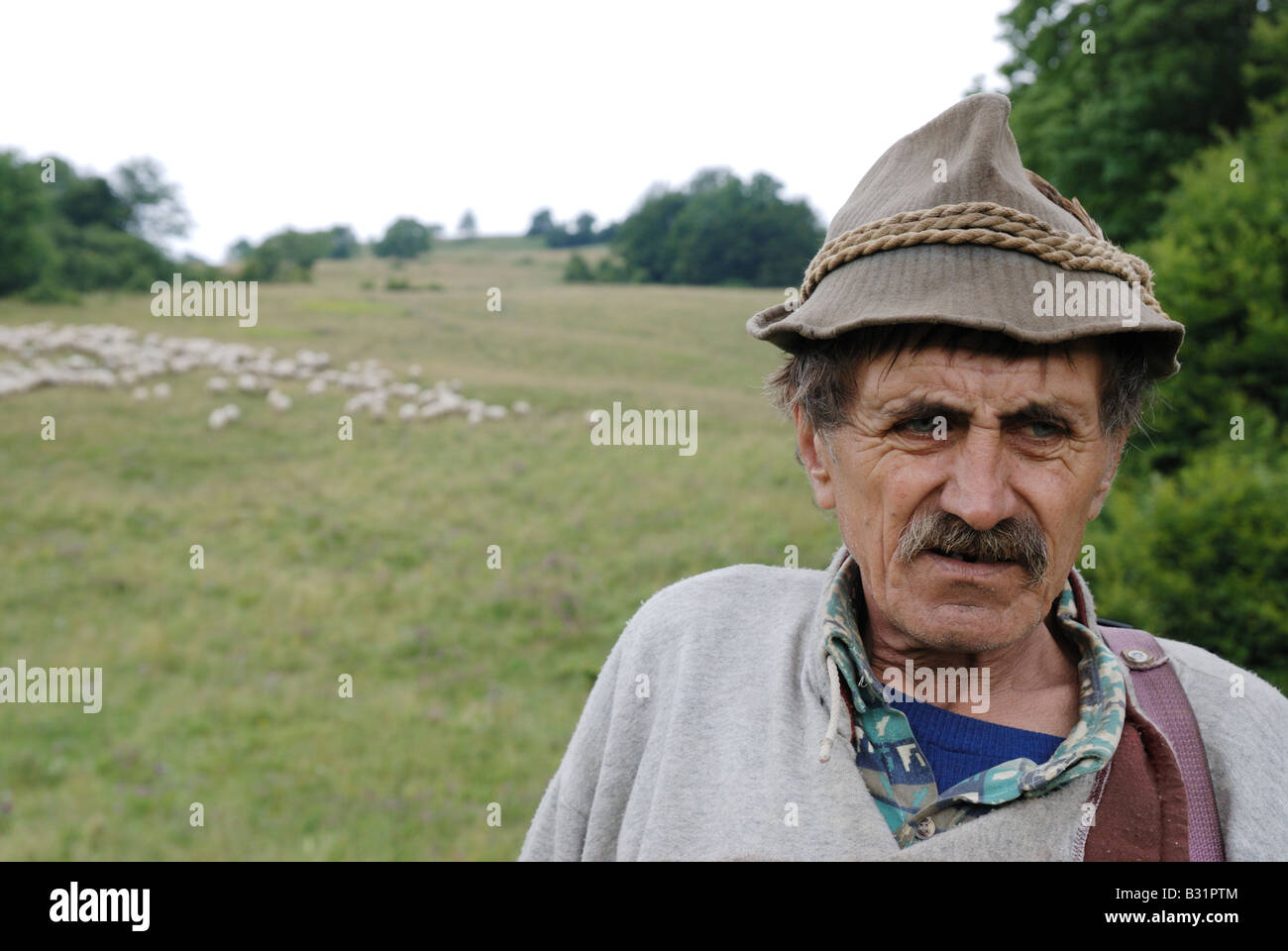 Porträt von Reifen Sheperd Mann mit Gras- und Schafe im Hintergrund große Fatra Gebirge Slowakei Sommer 2008 Stockfoto