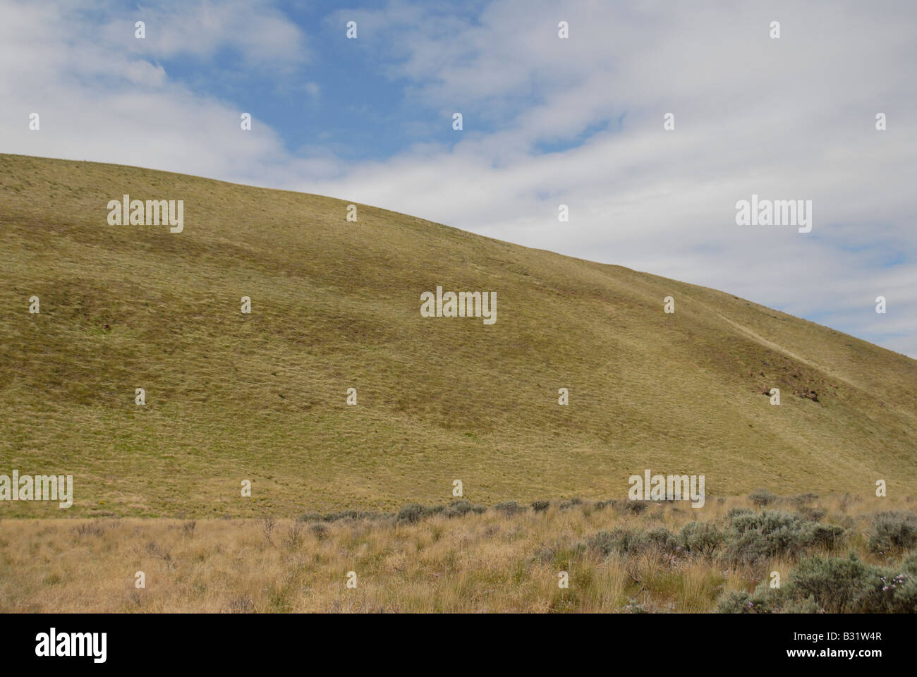 Einen sanften Hügeln in der Nähe der Tri-Cities in östlichen US-Bundesstaat Washington. Stockfoto