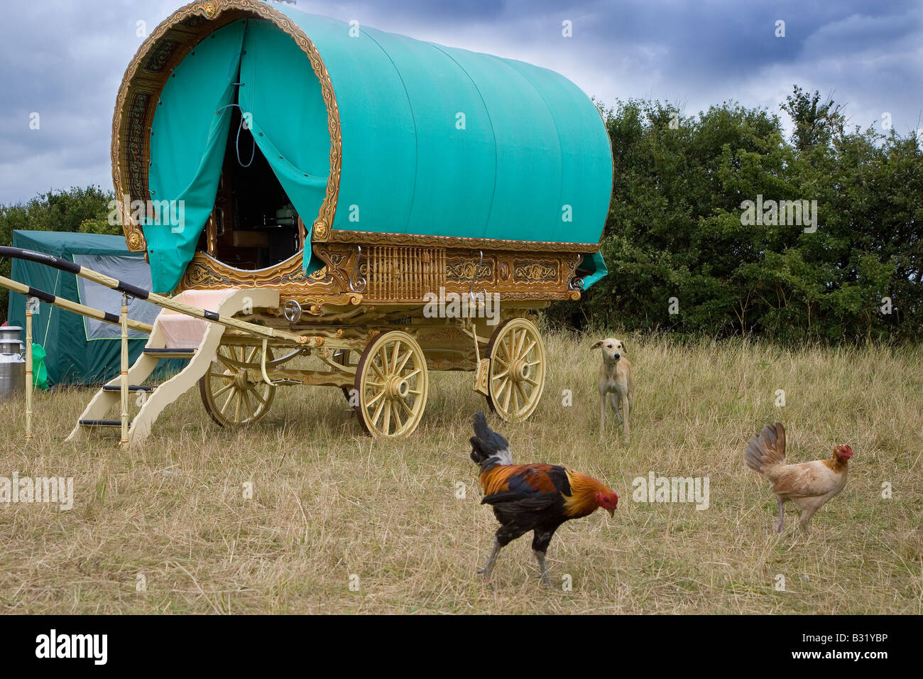 Freilaufende Hühner in einem traditionellen Romany Camp Salthouse Norfolk August Stockfoto