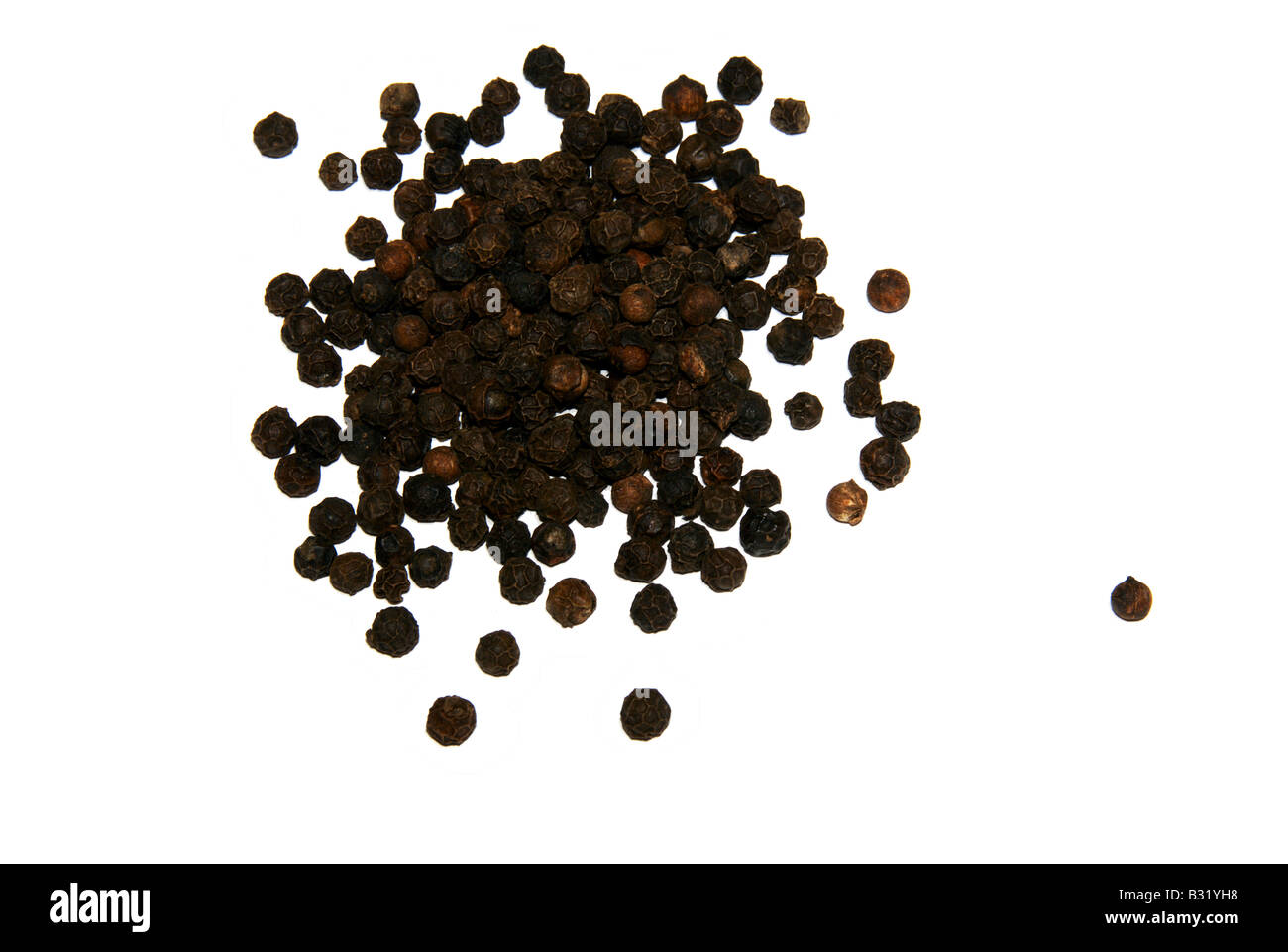 Ganze schwarze Pfefferkörner Stockfoto