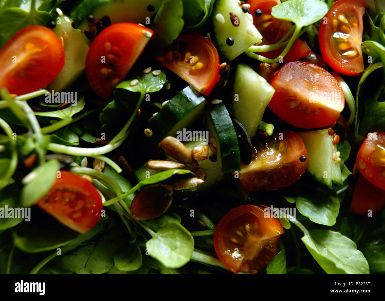 Einfache, saubere, frische Sommer Salat Detail einschließlich Tomaten Gurken und Salat Blätter bestreut mit Samen und dressing Stockfoto