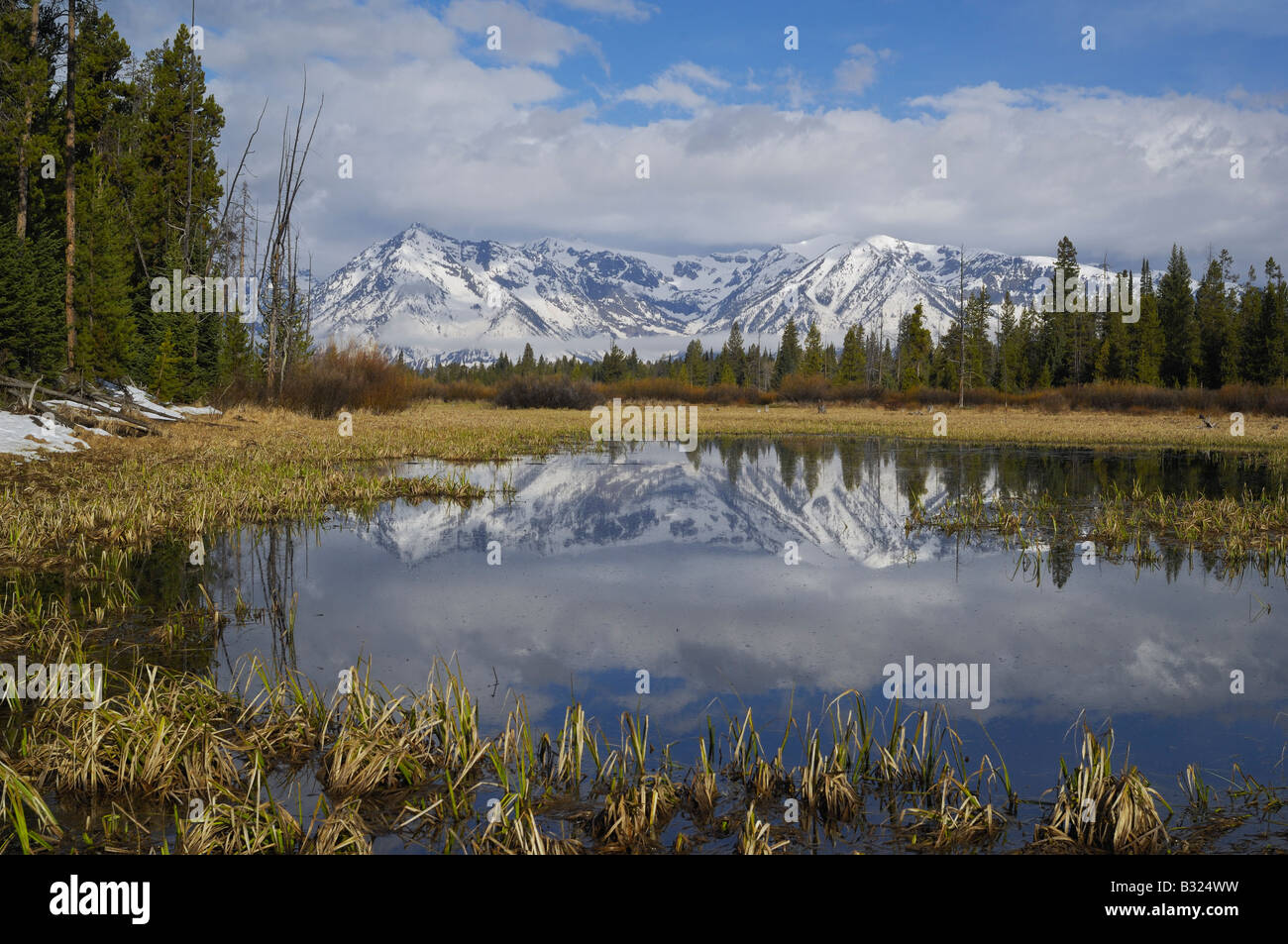 Morgen Reflexion in den Rocky Mountains Stockfoto