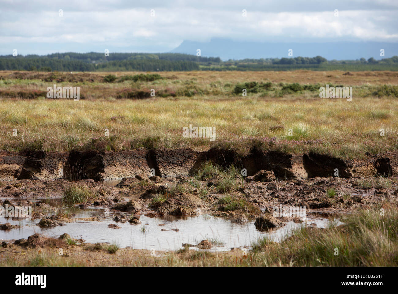 Decke Moor mit Nähten in es für Turf-Torf-Kraftstoff-Sammlung in Easkey Grafschaft Sligo Irland geschnitten Stockfoto