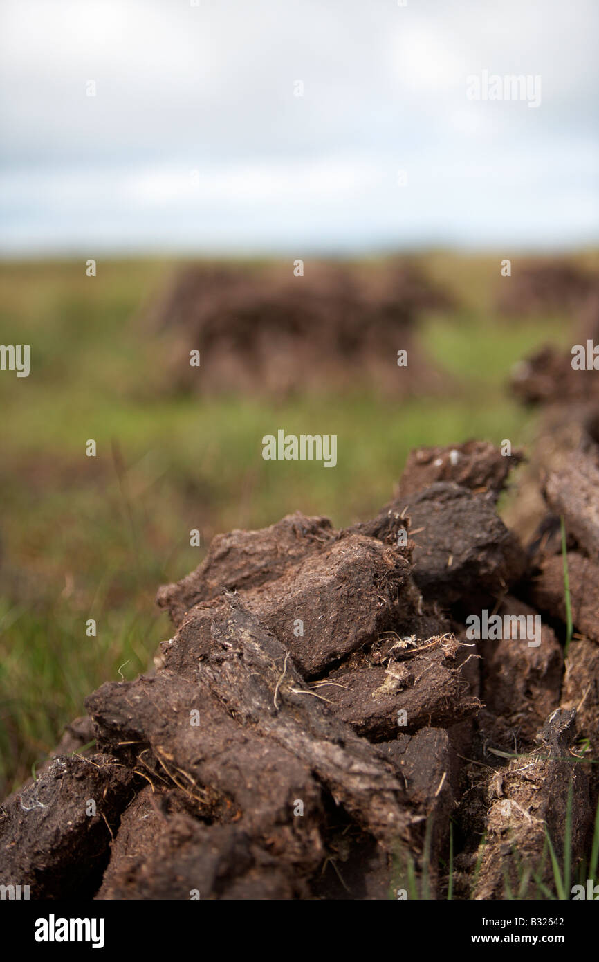 Torf turf Kraftstoff bereits Schnitt aufgestapelt in Stapel Lufttrocknung auf nassen Moor im County Sligo Republik von Irland Stockfoto