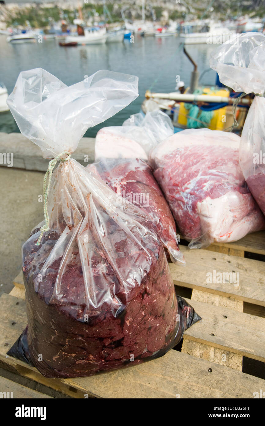 Robbenfleisch in einer Tasche am Kai bei Ilulissat in Grönland das Siegel ein Inuit-Jäger erschossen wurde Stockfoto