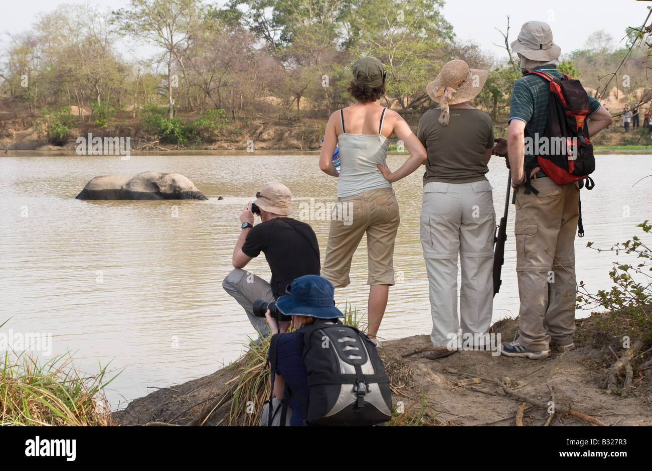 Touristen, die gerade afrikanischer Elefanten am Wasserloch im Mole-Nationalpark Ghana Stockfoto