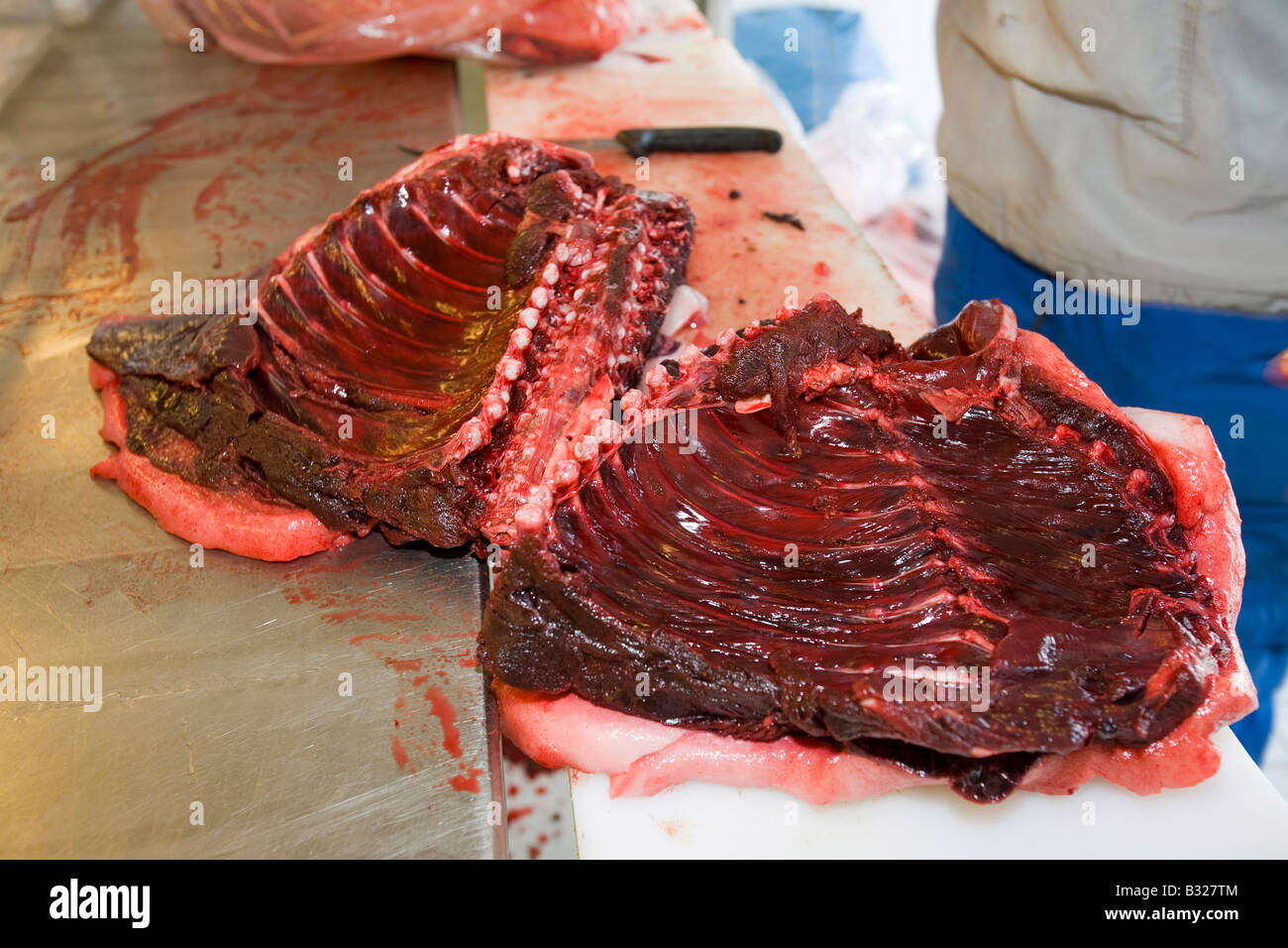 Robbenfleisch wird von einem Inuit-Mann in Ilulissat in Grönland das Siegel ein Inuit-Jäger erschossen wurde geschlachtet Stockfoto