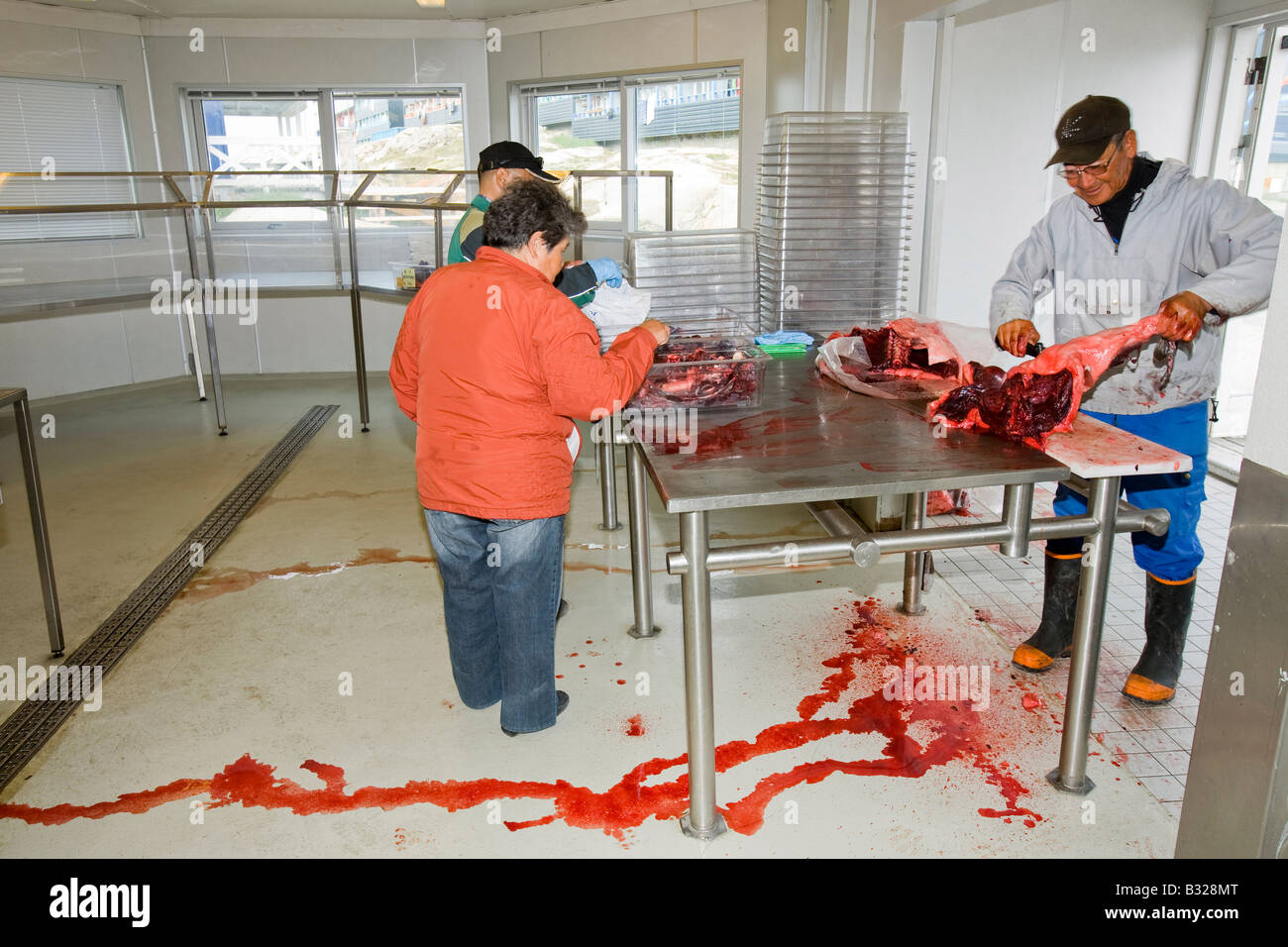 Robbenfleisch wird von einem Inuit-Mann in Ilulissat in Grönland das Siegel ein Inuit-Jäger erschossen wurde geschlachtet Stockfoto