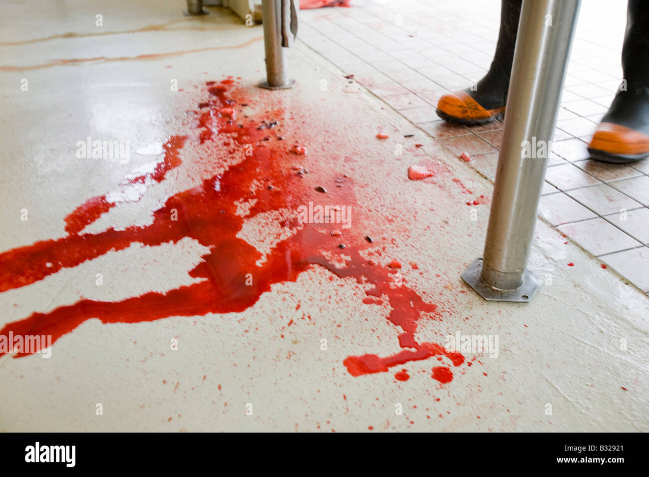 Blut aus Robbenfleisch geschlachtet wird von einem Inuit-Mann in Ilulissat in Grönland das Siegel wurde von einer Inuit-Jäger erschossen. Stockfoto