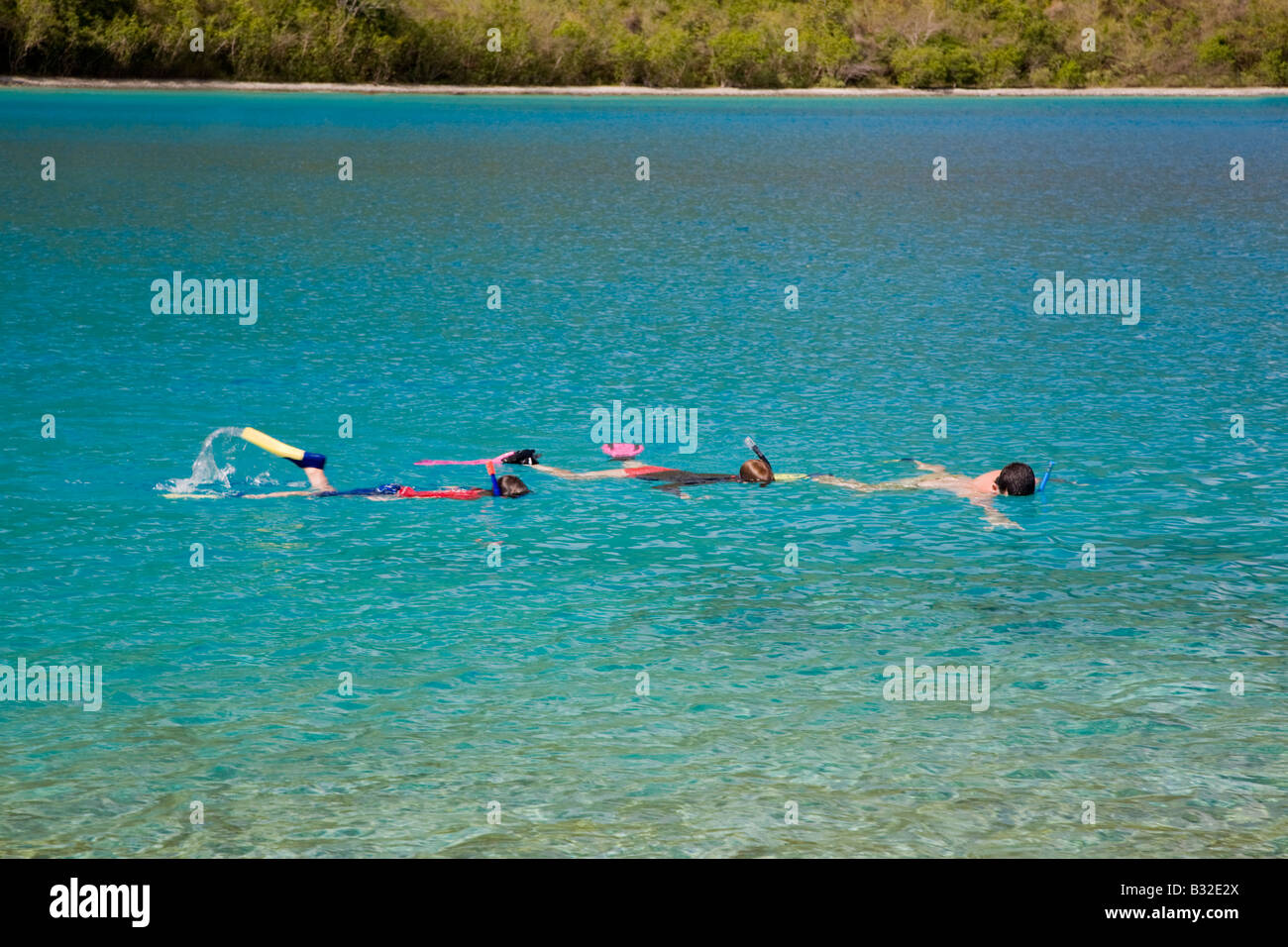 Leute Schnorcheln auf der karibischen Insel St John in den US Virgin Islands Stockfoto