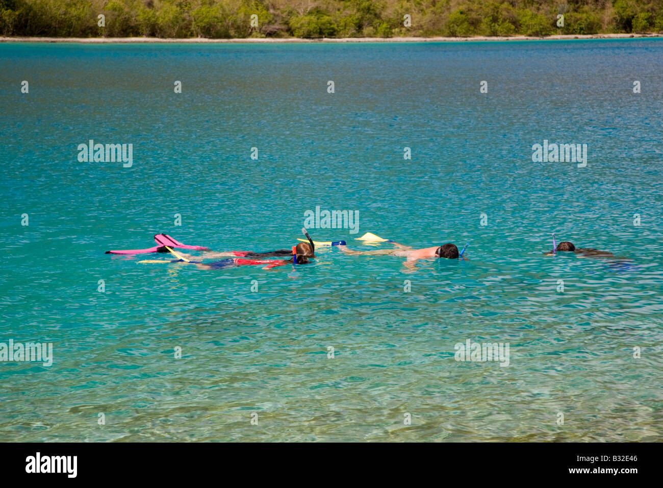 Leute Schnorcheln auf der karibischen Insel St John in den US Virgin Islands Stockfoto