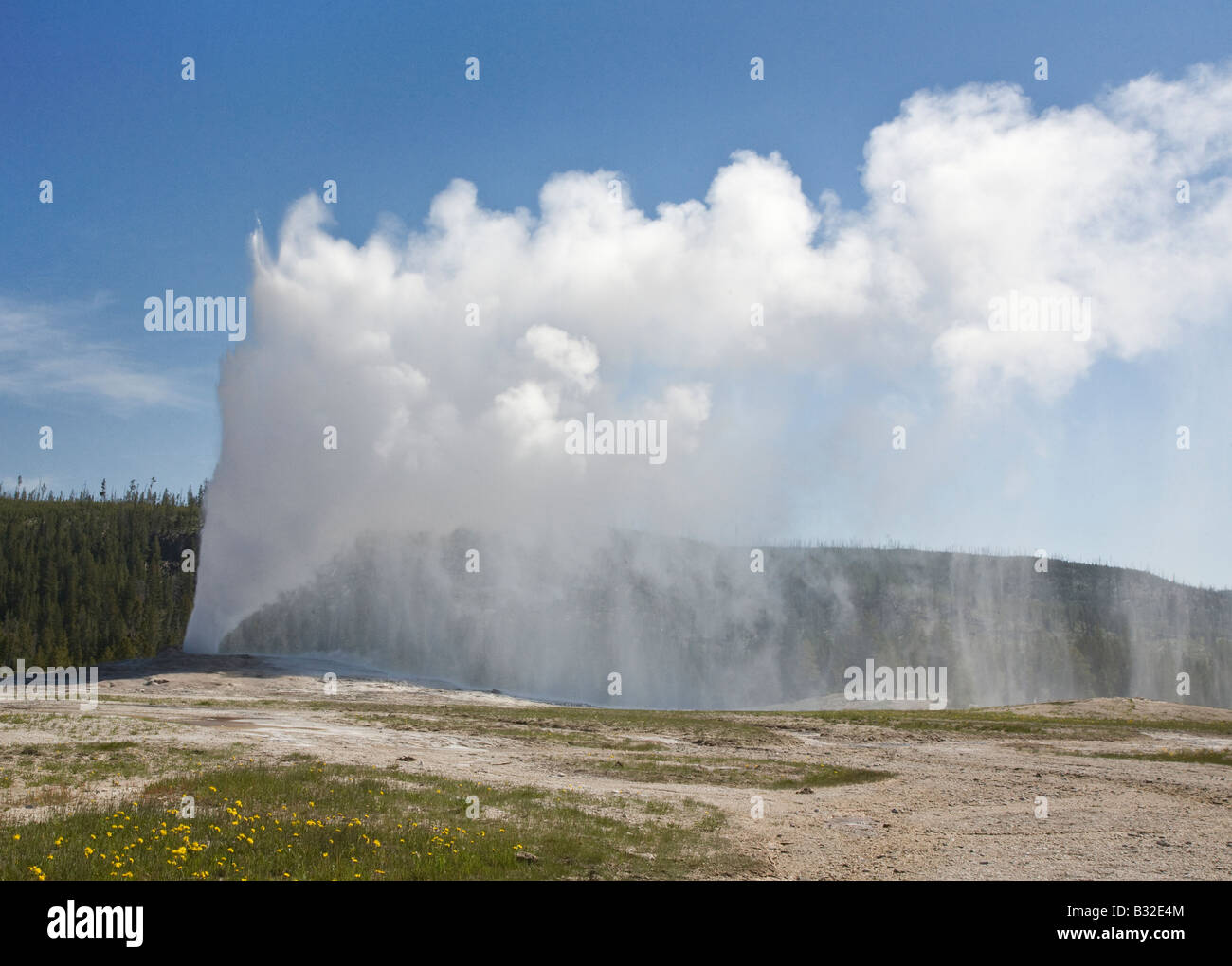 ALTE Treue Geysir bricht senden stündlich 8 400 Gallonen mit kochendem Wasser 184 Füße in der Luft YELLOWSTONE-Nationalpark, WYOMING Stockfoto