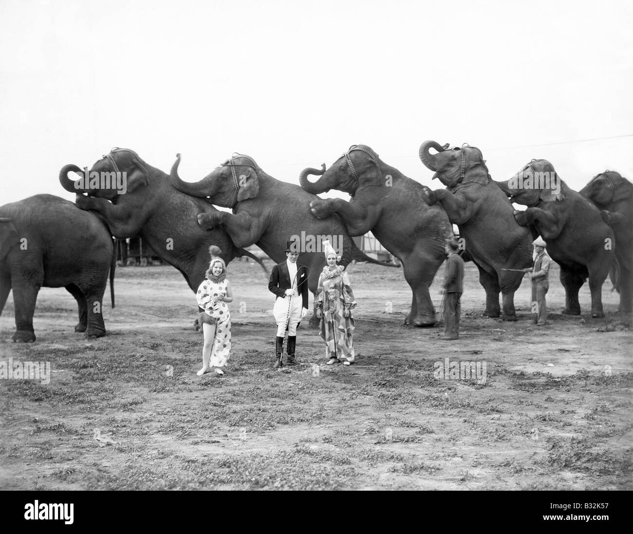 Zirkus Elefanten und clowns Stockfoto