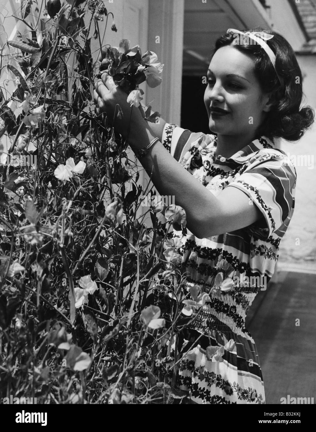 Frau schneiden Blumen von Rebe Stockfoto