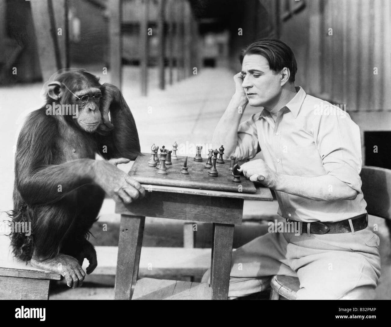 Mann spielt Schach mit Affe Stockfoto
