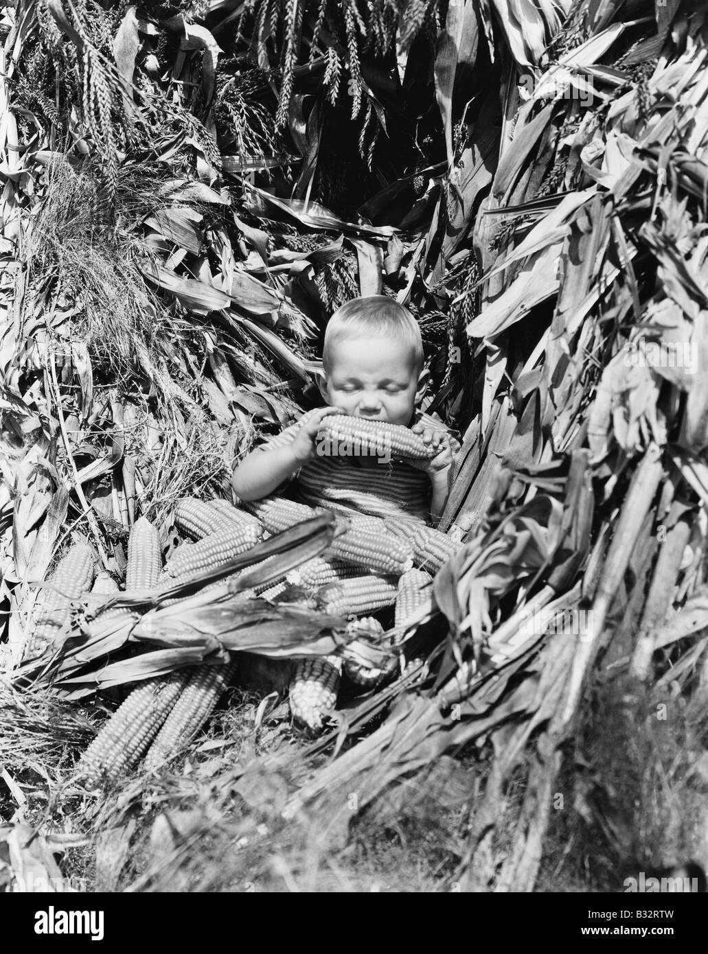 Junge in einem Maisfeld einen Maiskolben zu essen Stockfoto