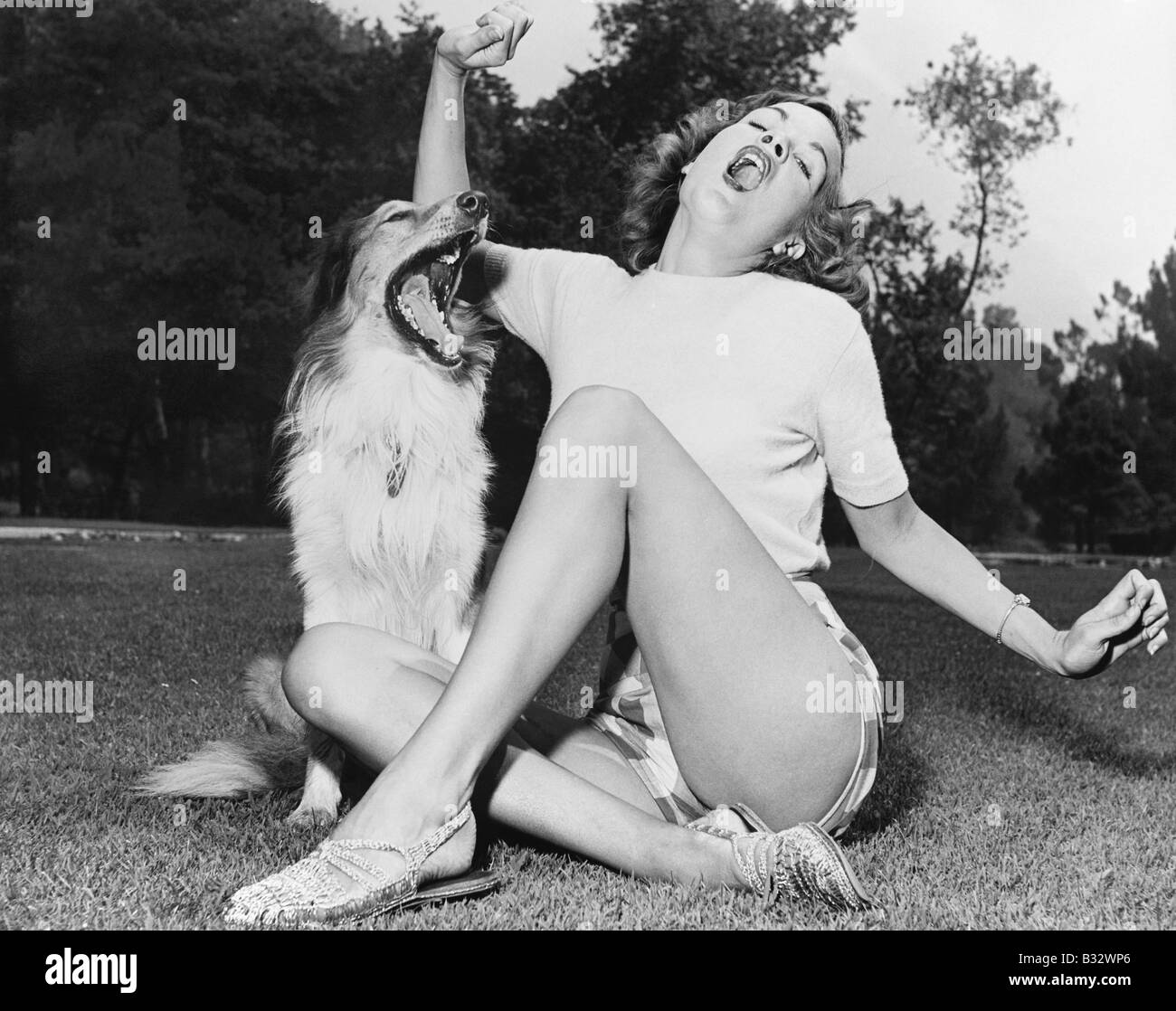 Junge Frau sitzt auf der Liegewiese singen mit ihrem Hund Stockfoto