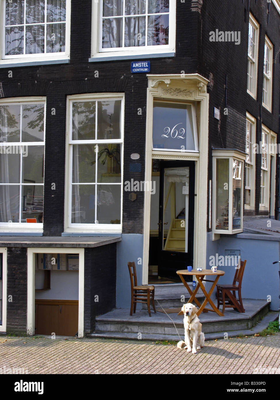 Leben in einem Grachtenhaus mit Hund, Amsterdam, Holland, Niederlande Stockfoto