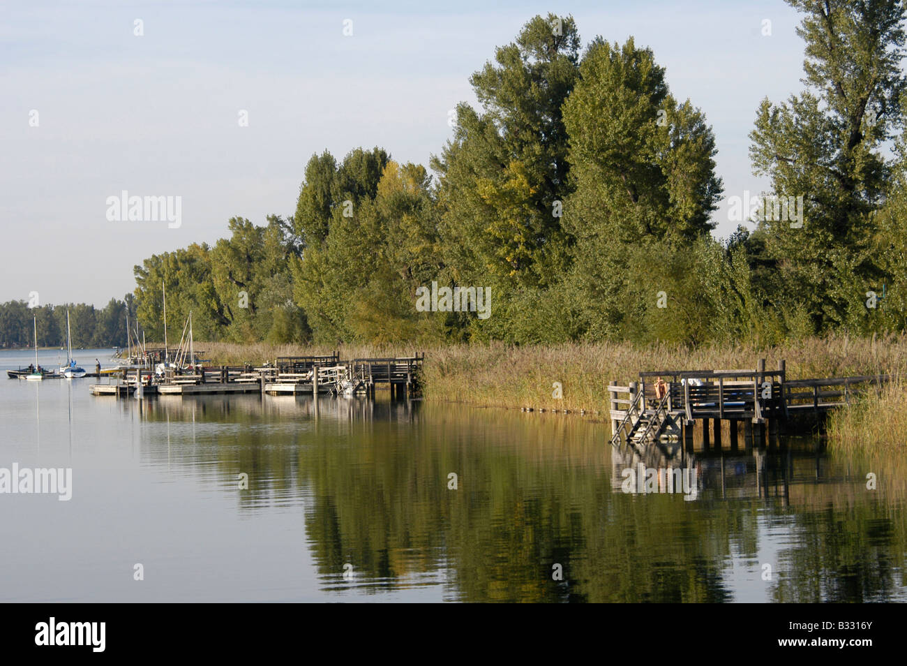 Herbstliche alte Donau Stockfoto