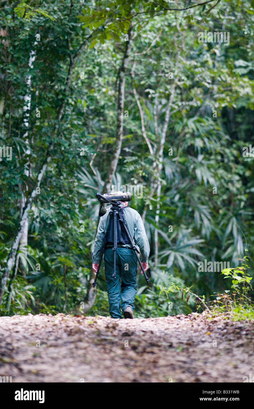 Vogelbeobachtung in tropischen Tieflandregenwald Guatemala Stockfoto