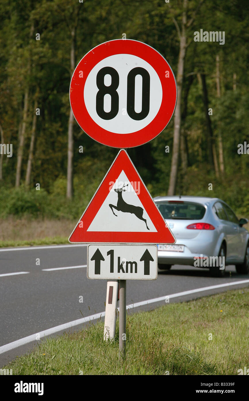 80 km/h und Hirsch Kreuzung Stockfoto