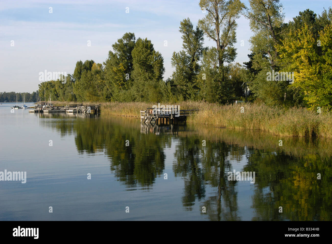 Herbstliche alte Donau Stockfoto