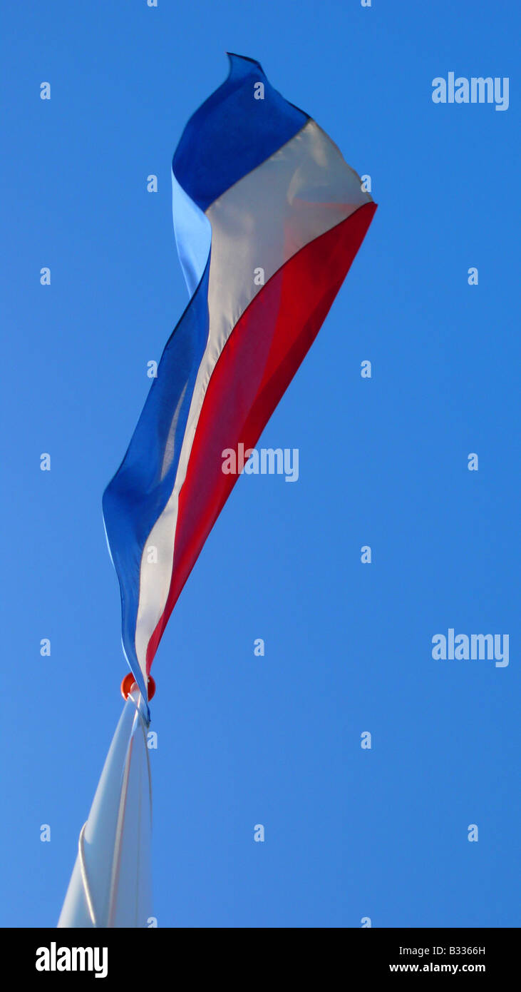 Niederländische Flagge Stockfoto