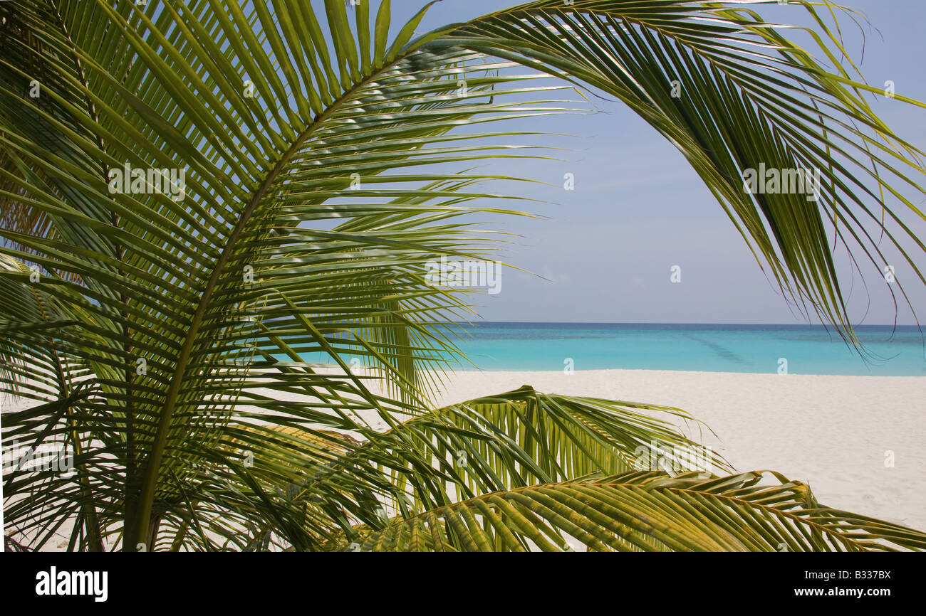 Am Traumstrand Stockfoto