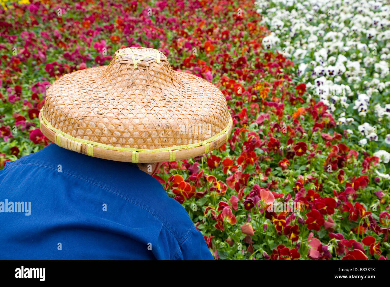 Chinesische Frau pflanzt Blumen traditionelle gewebte Hut Stockfoto
