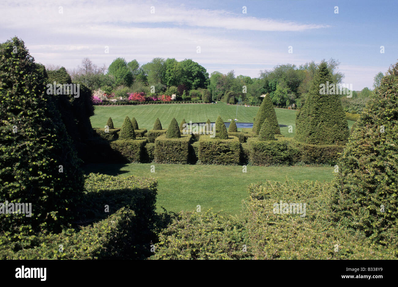 Geometrische Formschnitt mit Blick auf die große Schüssel. Ladew Topiary Gardens. Stockfoto