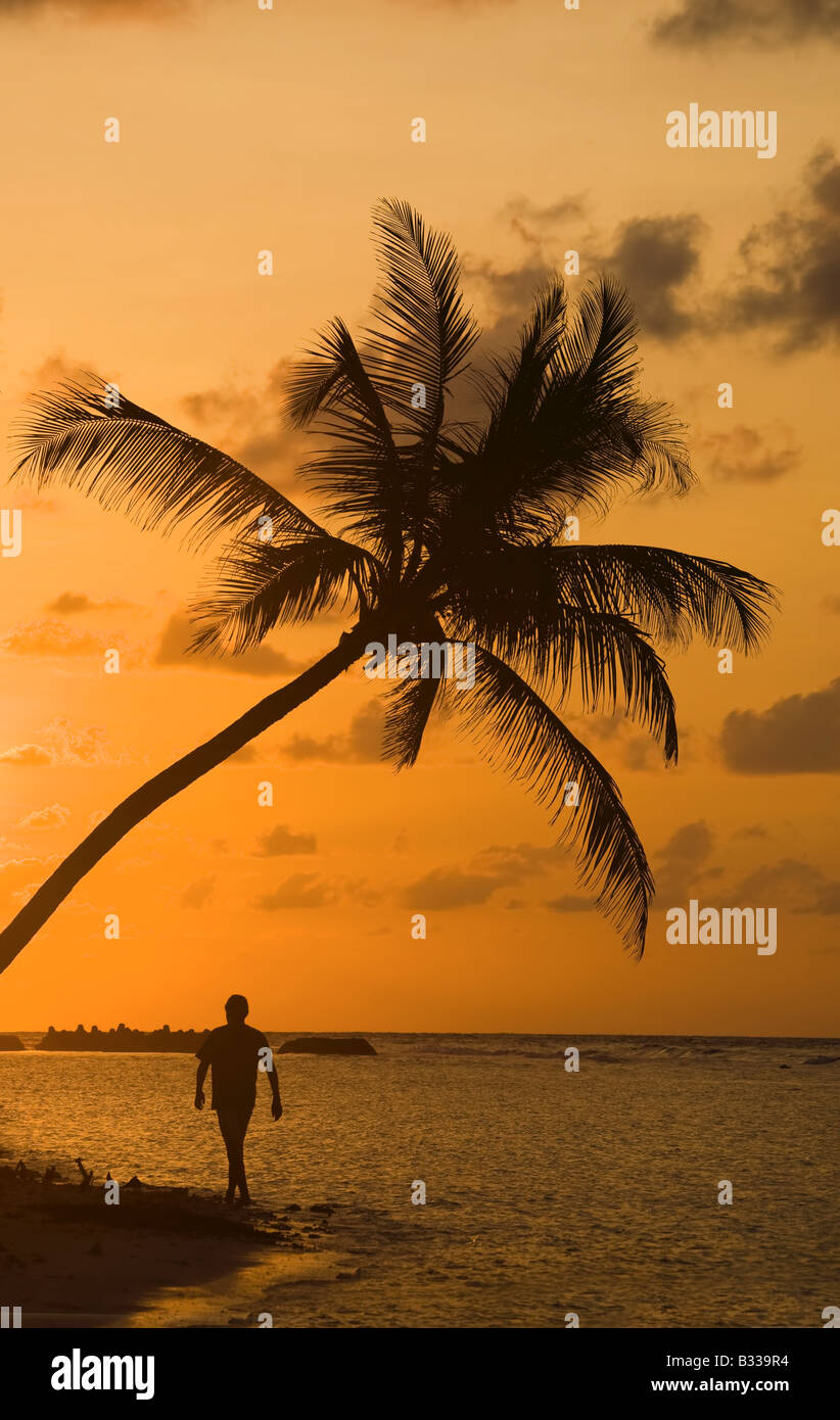 Sonnenuntergang am Traumstrand Stockfoto